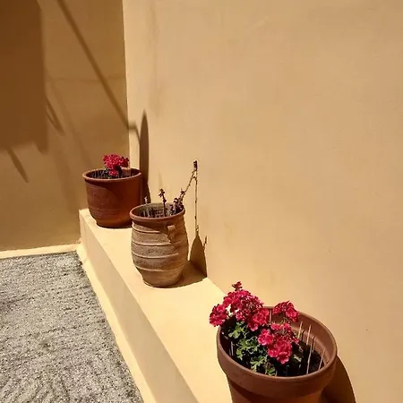 Eirini's House ליאפאדס