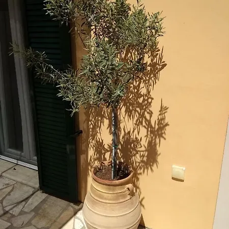 Eirini's House דירה *